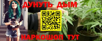 крисы Дубна