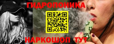 крисы Дубна