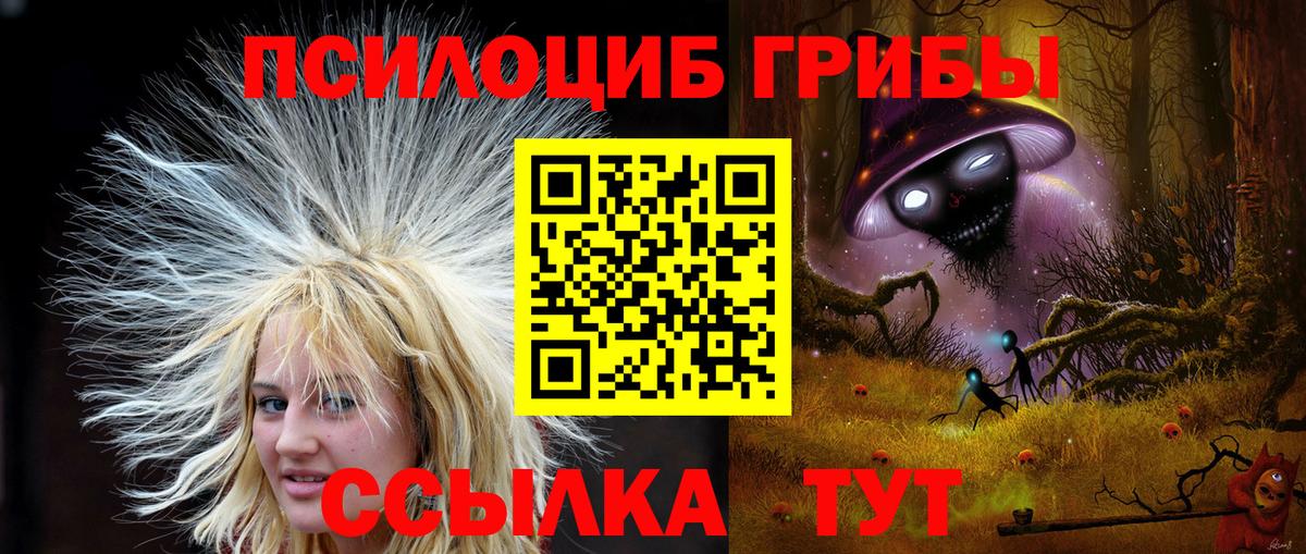 Галлюциногенные грибы мицелий Владимир