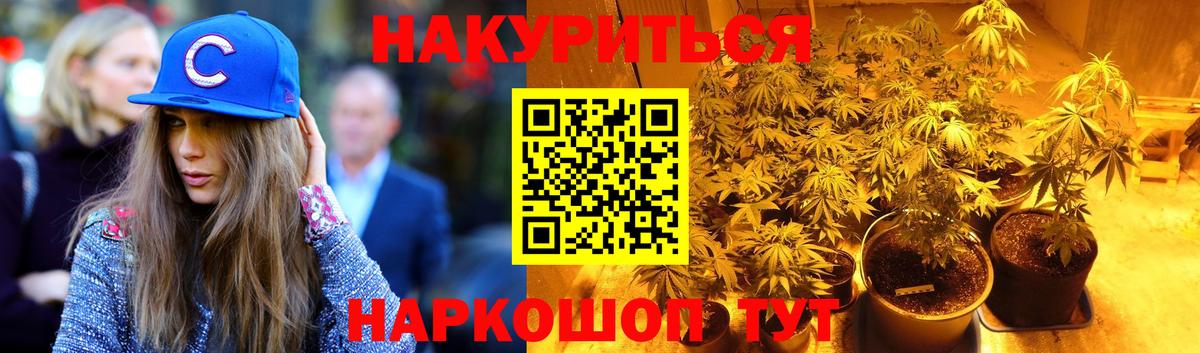 Каннабис гибрид Владимир